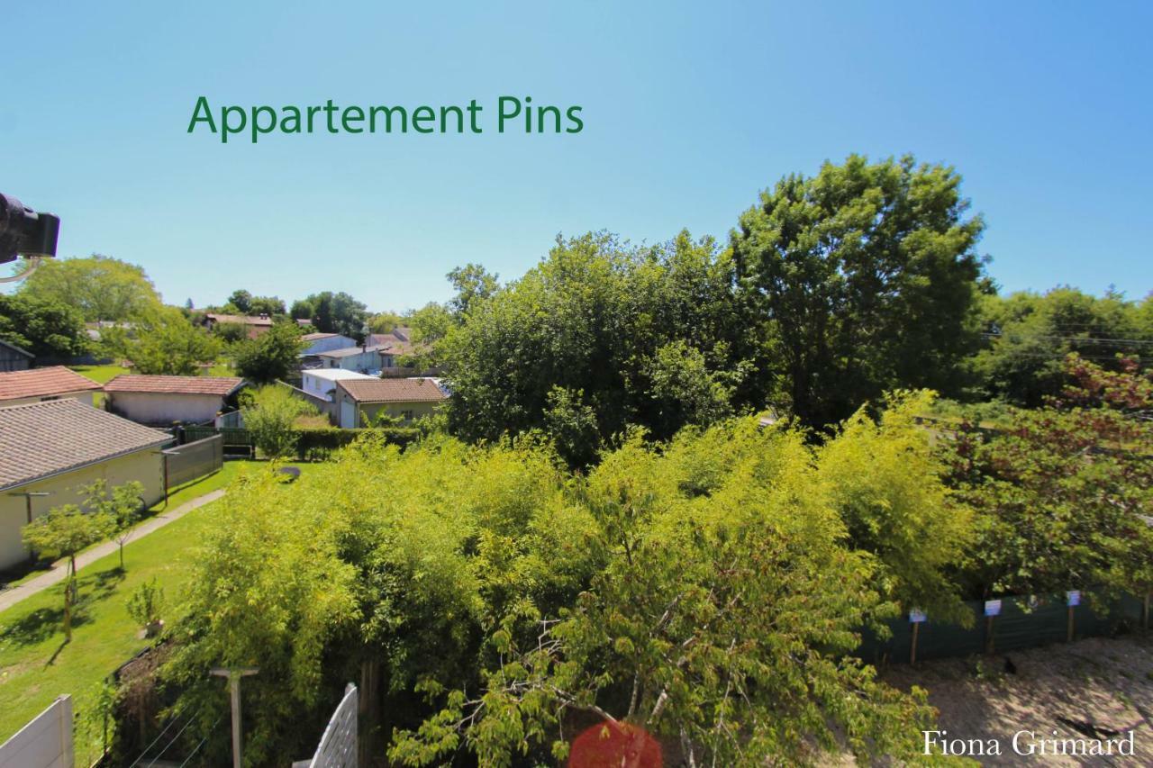 Appartements tourisme meublés Com'in Médoc Lesparre-Médoc Exterior foto